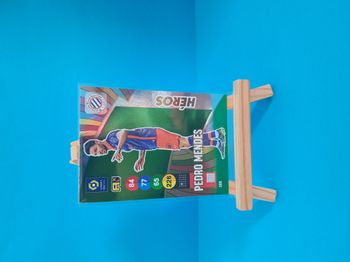 Carte de foot Pedro Mendes MHSC