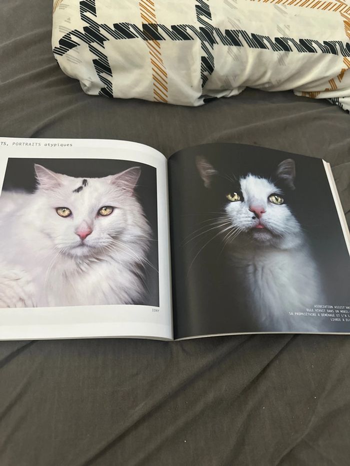 Livre - photo numéro 4