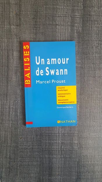 Livre balises un amour de swann