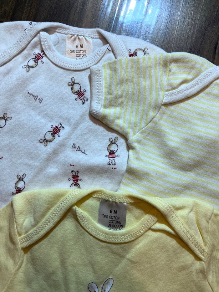 Bodies lapin 6mois - photo numéro 2