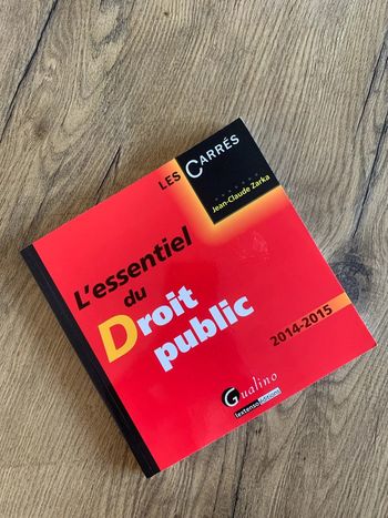 L’essentiel du droit public - Les Carrés