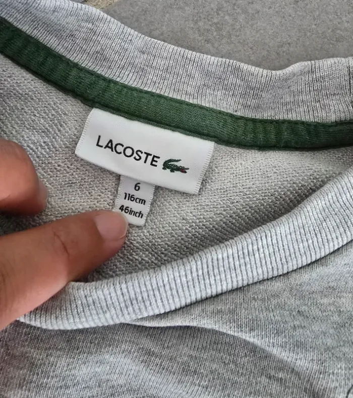 Sweat lacoste gris - photo numéro 2