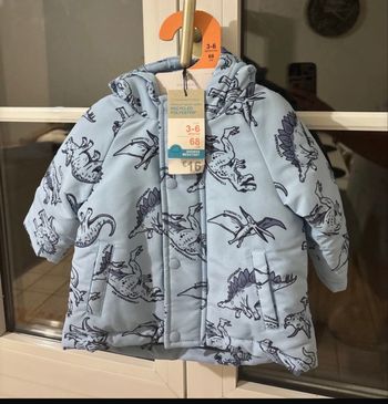 Manteau dinosaures 🦕 