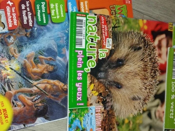 Lot de 7 magazines Wapiti année 2008-09 L025  7585218311 - photo numéro 6