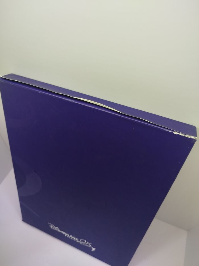 Disneyland Paris de A à Z - photo numéro 4