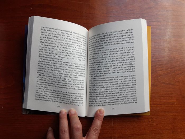 Livre le chien de Baskerville - photo numéro 3
