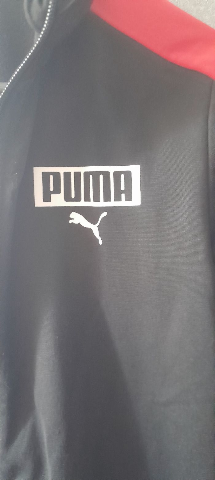 Veste - photo numéro 2