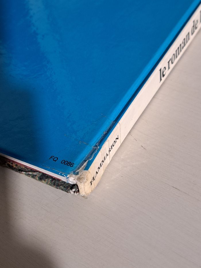 Livre le roman de Heidi tiré du film de 1978 - photo numéro 8