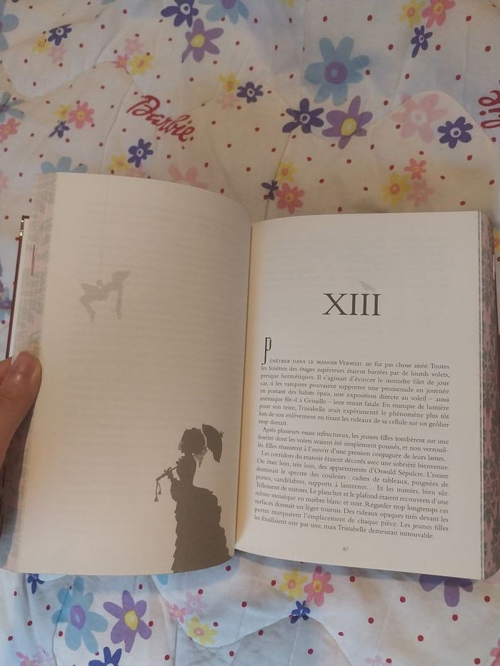 Roman Les Soeurs Carmine Intégrale Relié Collector avec jaspage Ariel Holzl Trilogie - photo numéro 5