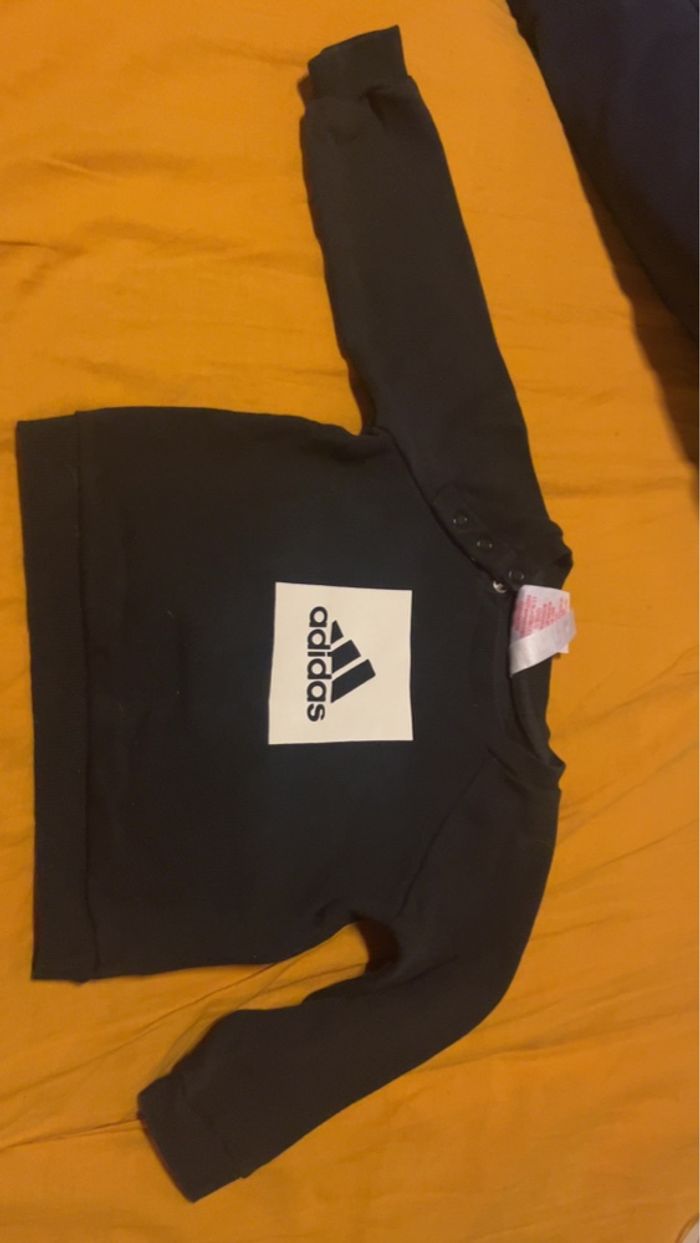 Ensemble - photo numéro 5