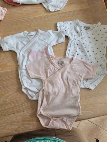 Lot 3 bodies manches courtes