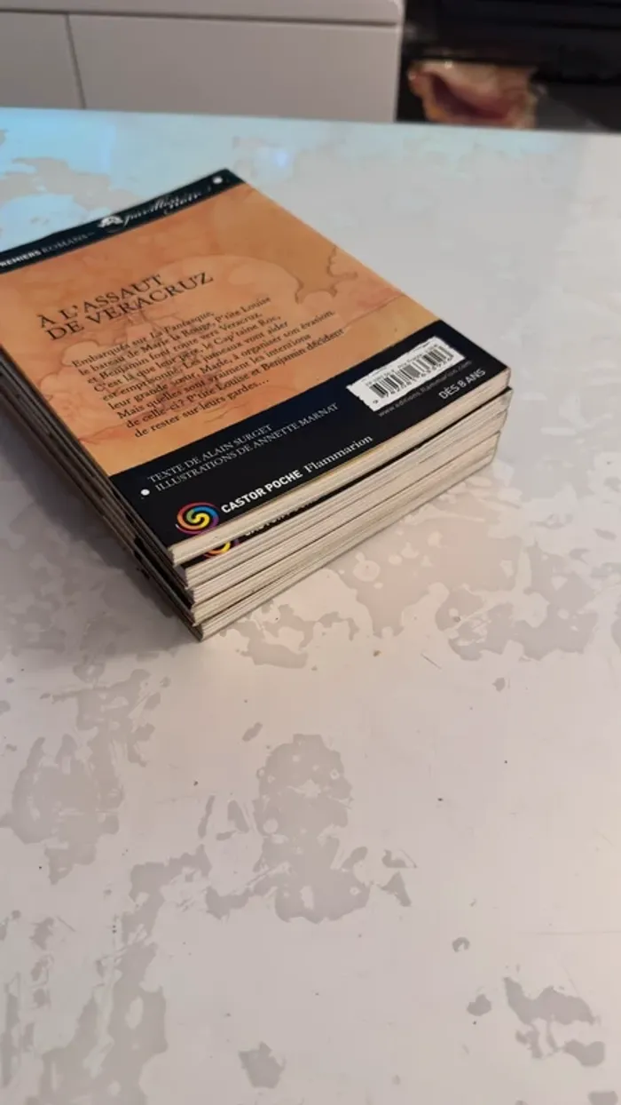 📚 Lot complet – Collection Les Frères Faucons 5 tomes – Alain Surget / Annette Marnat - photo numéro 7