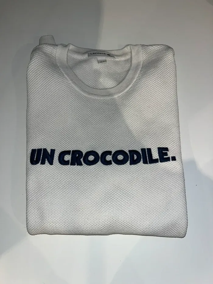 pull lacoste - photo numéro 6