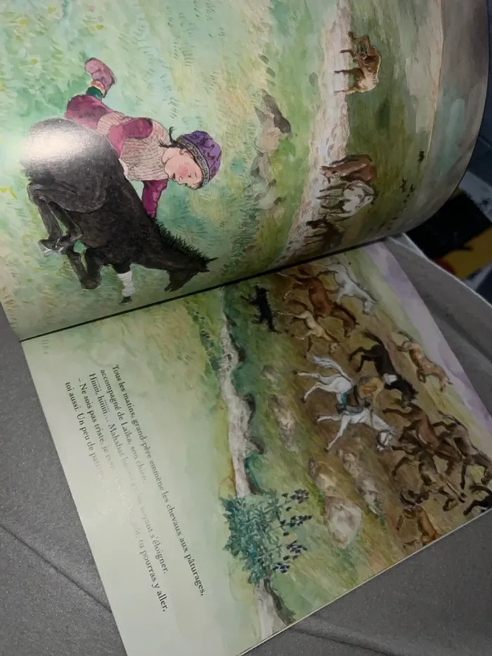 Livre mon petit cheval malabar - photo numéro 4