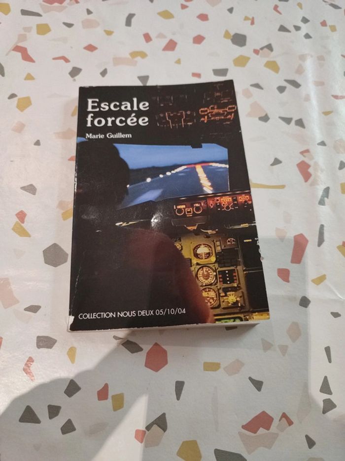 Escale forcée de Marie Guilhem