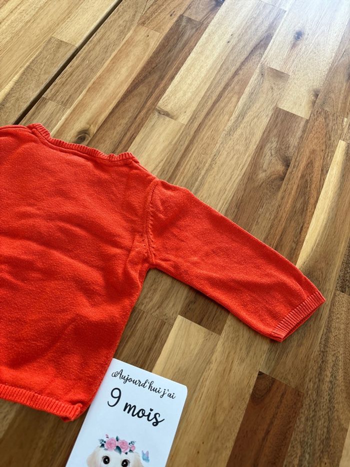 Gilet orange - photo numéro 7