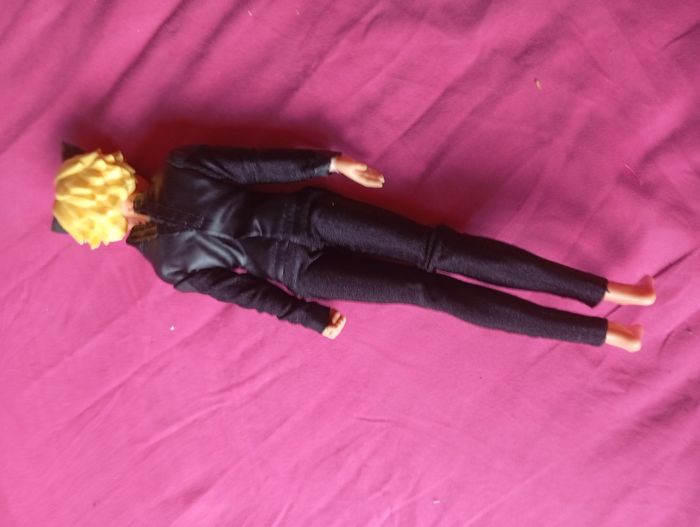 Barbie miraculous Adrien chat noir - photo numéro 2