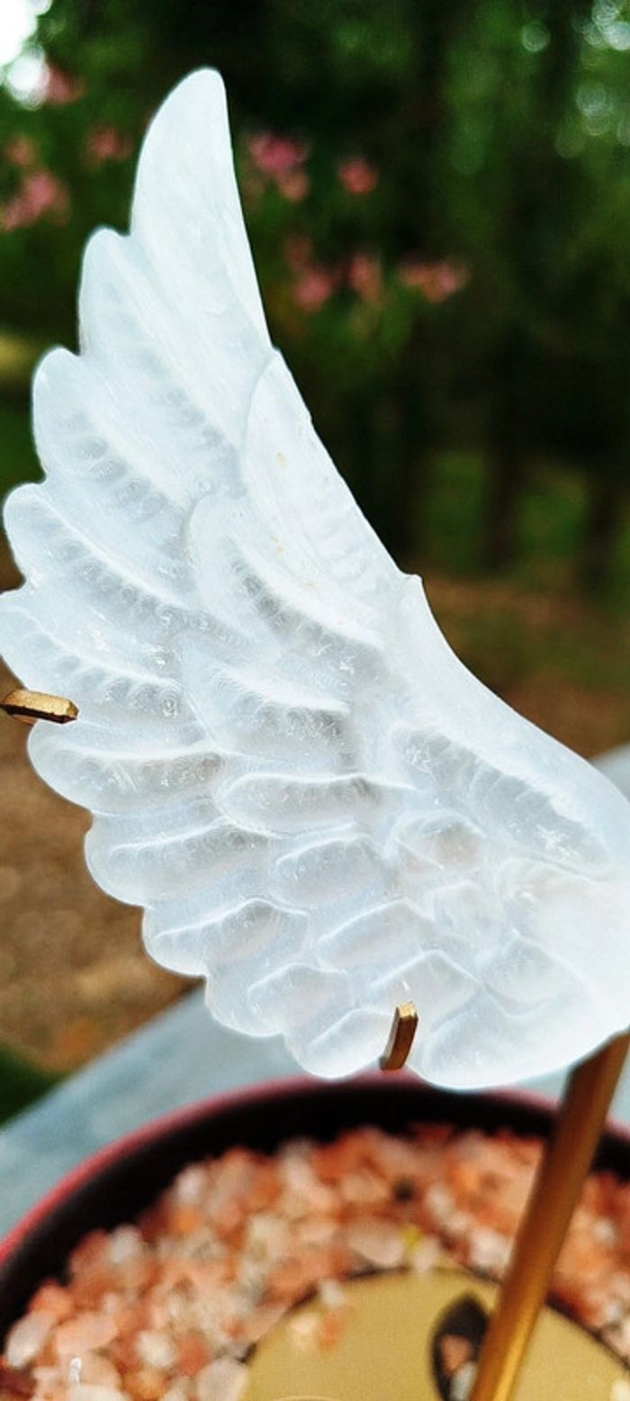 Ailes Divines en Sélénite Pure💫Messagères de Lumière - photo numéro 2