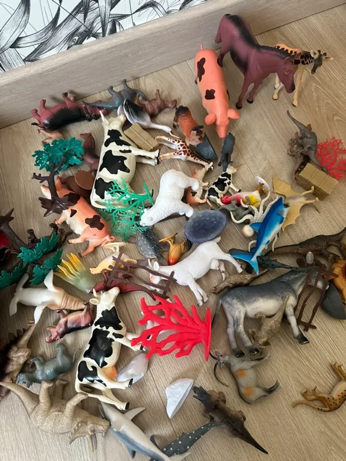 Animaux - photo numéro 2