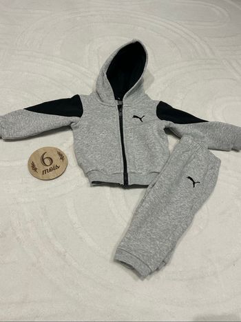Ensemble Puma