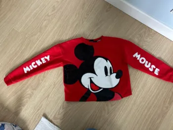 Pull court Mickey