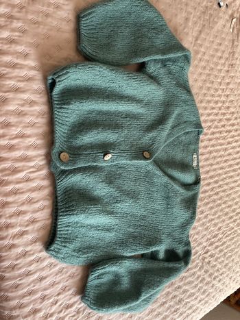 Gilet vert d’eau en mohair 