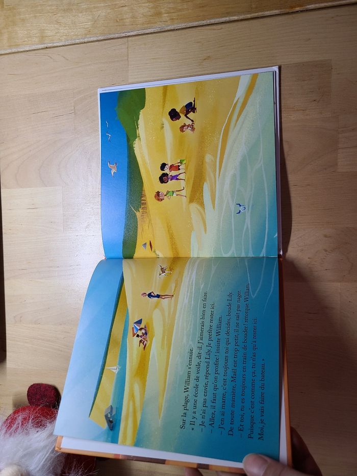 Petit tour en baie de somme - photo numéro 5