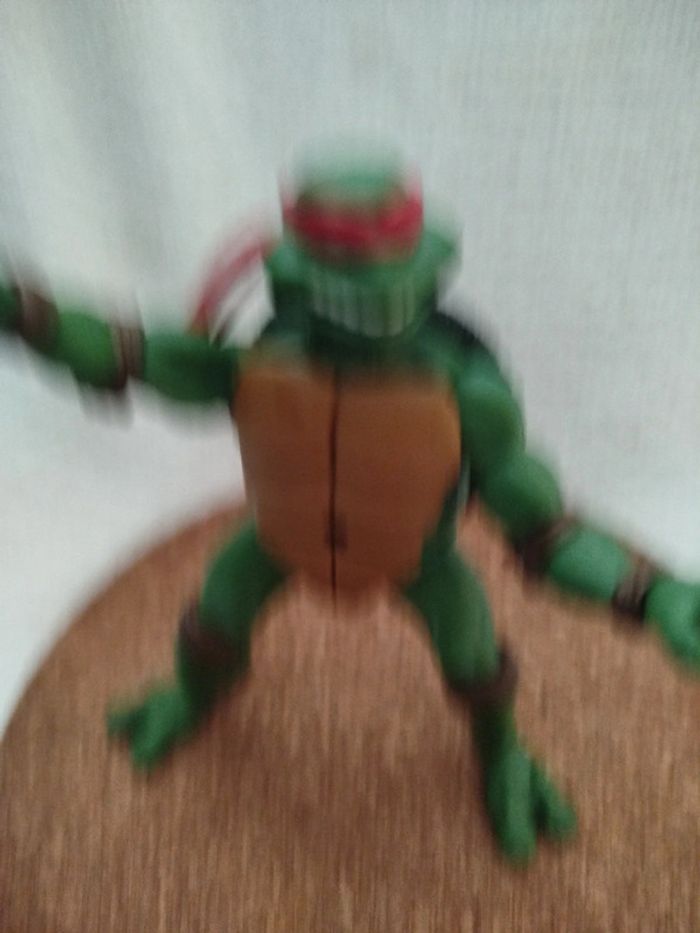 Tortue Ninja 2003 - photo numéro 2