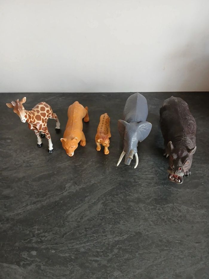 Lot animaux - photo numéro 4