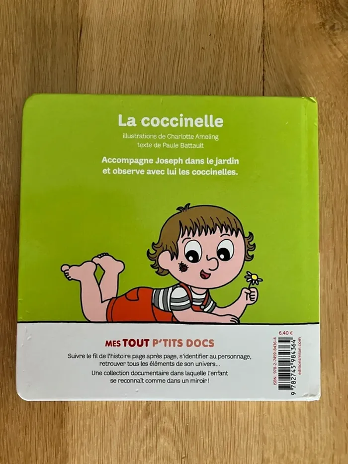 Livre coccinelle - photo numéro 3
