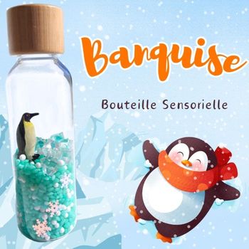 Bouteille sensorielle Banquise hiver pingouin