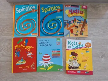 Lot de manuels ce1