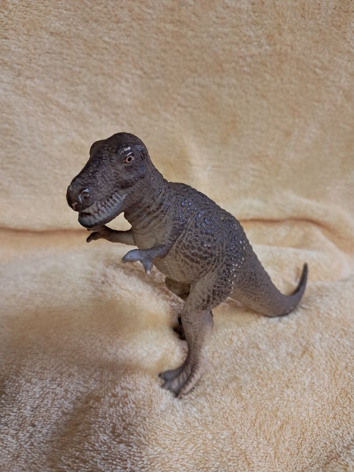 Lot de 2 tyrannosaures - photo numéro 3