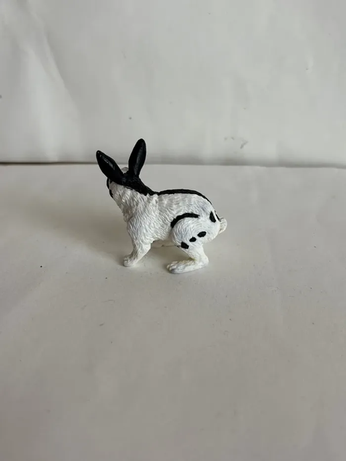 Lapin papo - photo numéro 2