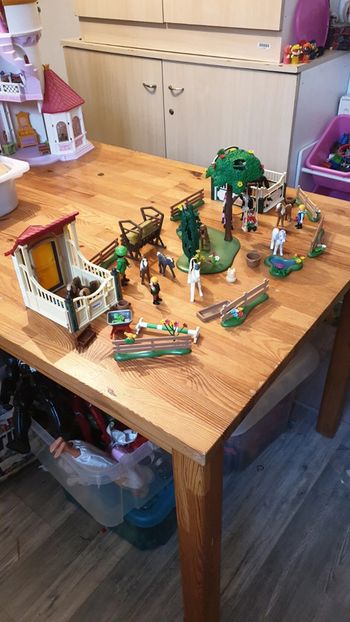 Lot équestre playmobil
