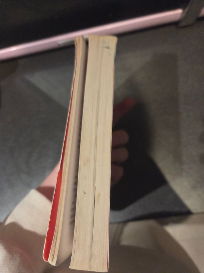 Livre mort sur le nil - photo numéro 5