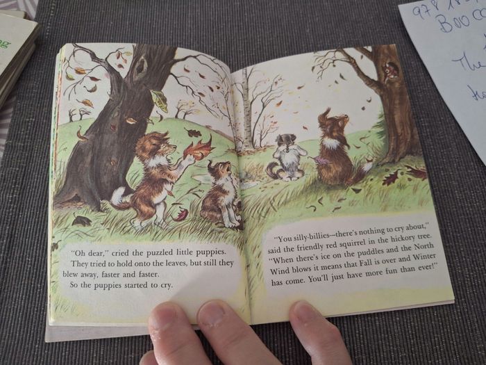 LIVRE ANGLAIS Vintage Four puppies - photo numéro 4