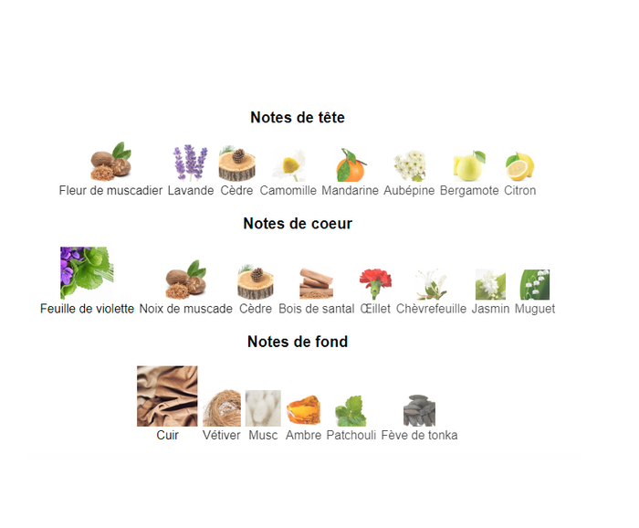 Fire Homme "inspi Dior Fahrenheit" Eau de Parfum Homme 100 ml - photo numéro 3