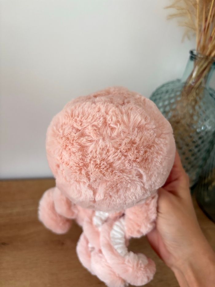 Pieuvre rose des sables - photo numéro 10