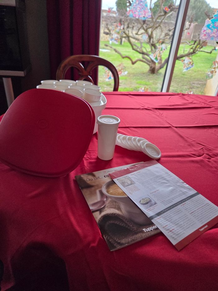 Yaourtière 3L avec livre Tupperware - photo numéro 3