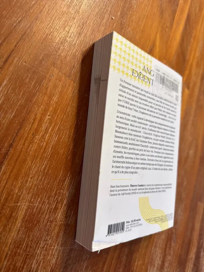 Livre anglais excentrique - photo numéro 5
