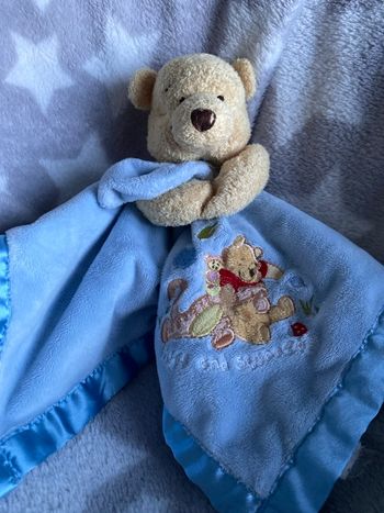 Doudou ours plat Winnie Disney store 