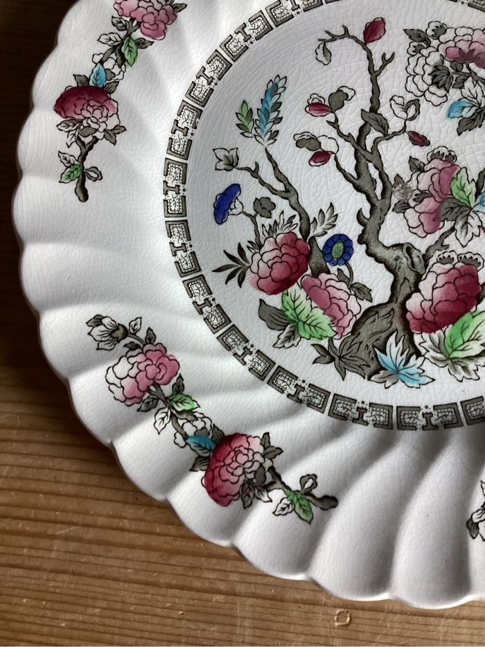 assiette plate colorée à la main arbre indien Myott Staffordshire - photo numéro 5