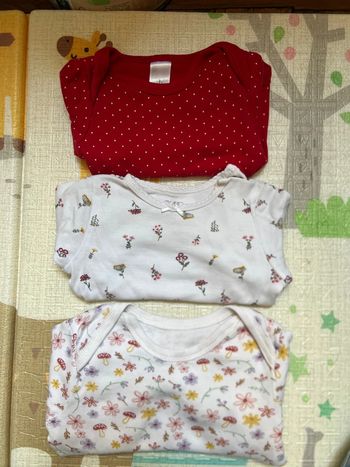 Lot de 3 bodies/body manches longues