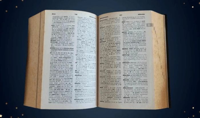๐ฆ Dictionnaire Harrap's Francais Allemand - photo numรฉro 4
