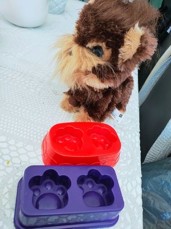 Chien a coiffer furreal