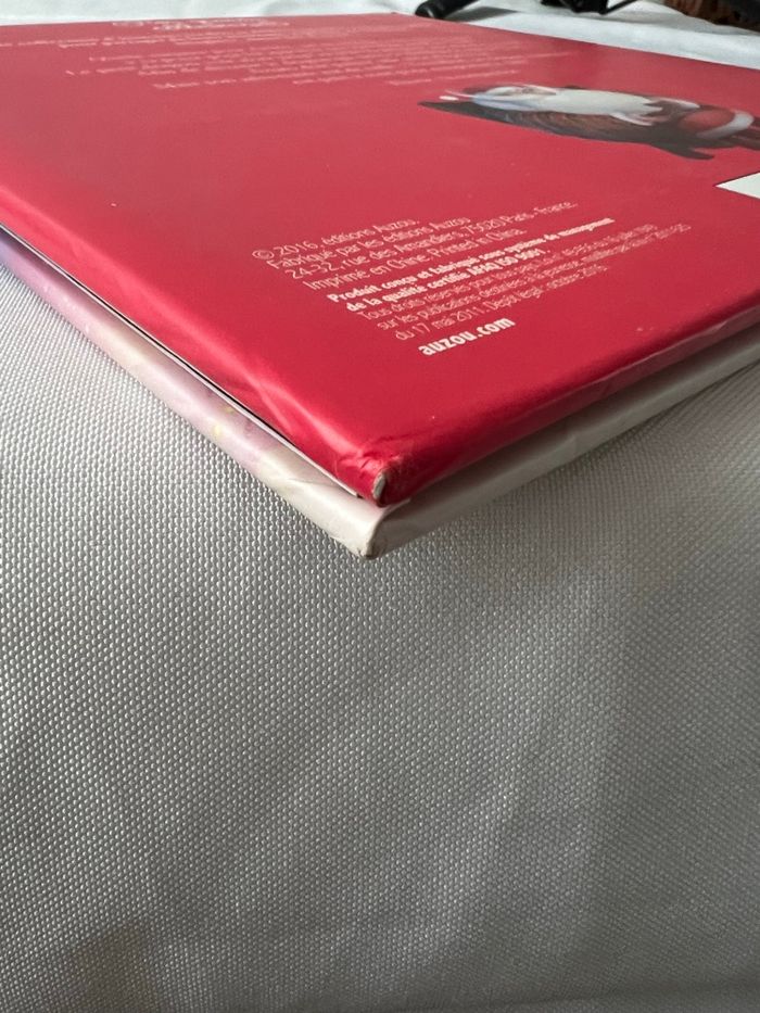 Livre Azuro et le défi du père Noel - photo numéro 9