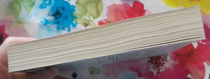 Meurtre à New York de Christiane Heggan Ed. Mira - photo numéro 5