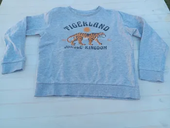 Pull tigre de marque Gémo et de taille 10ans