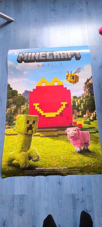 PLV affiche Minecraft de mc do 2025